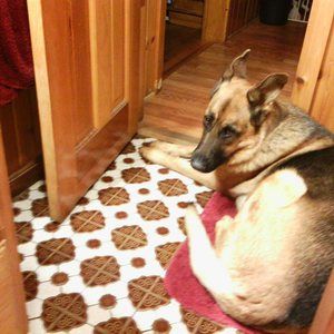 Meet your Posher, Barbara